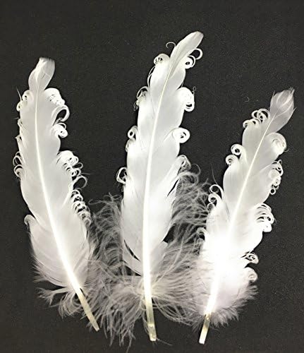 Curled Feathers White Craft Party Costume Hat Curly Nagorie Goose Feathers, 5" to 8" inches (12/Pack)