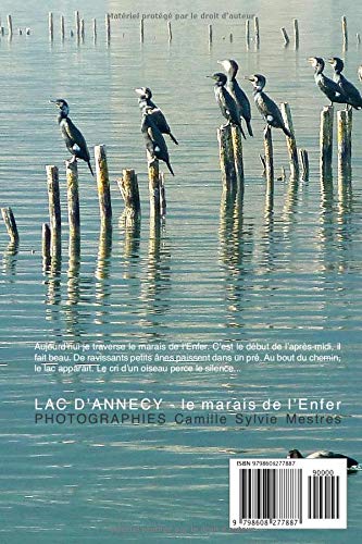LAC D’ANNECY – le marais de l’Enfer: 31 janvier 2020