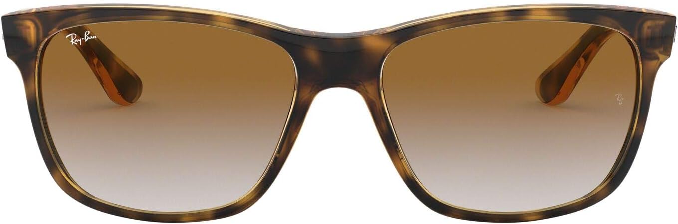 Ray-Banmens 0RB4181 Sunglasses