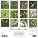 Hummingbirds 2018 Wall Calendar