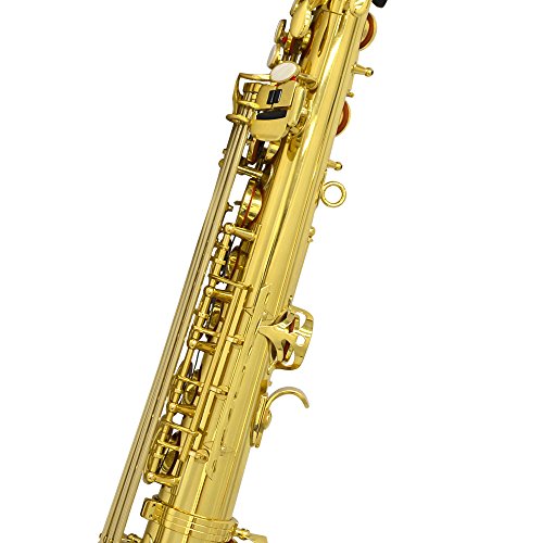 Schiller American Heritage Straight Alto Saxophone Buy Online in UAE