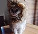OaaXbbECco Lion Mane Wig for Cat Costume (Light Brown, Medium)