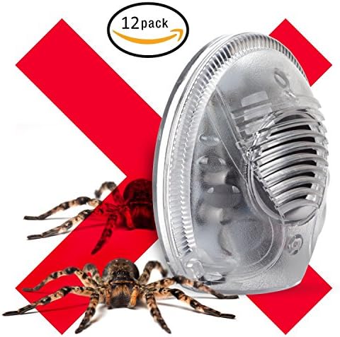 Ultrasonic Spider and Rodent Electronic Plugin Pest Repeller (12 Pack)