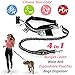 PREMIUM Hands Free Dog Leash | Bungee Dog Leash for Walking & Running with Small, Medium or Large Dogs | Reflective Waist Belt for Phone, Keys and Cards |BONUS Collar Bag Dispenser |Great GIFT (BLACK)