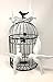 Set of 4 Assorted Sullivans White Resin Birds Wall Art Sculptures