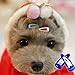 PET SHOW Cute 0.9