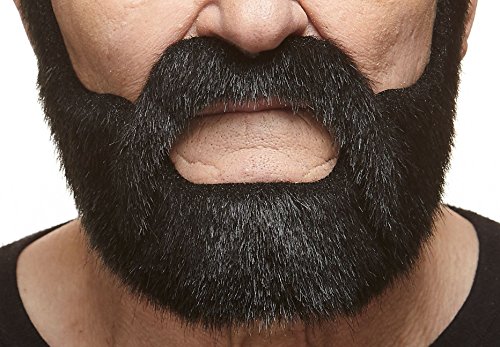 Nobleman beard and mustache