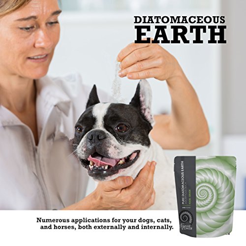 FOSSIL POWER Food Grade DIATOMACEOUS Earth Organic Powder 2lb Bulk