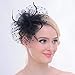 Fascinators Sinamay Hats for Women for Tea Party Kentucky Derby Wedding Cocktail Mesh Feathers Hair Clip Black