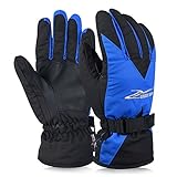 Vbiger Ski Gloves Snow Mittens Waterproof Winter Warm Cycling Gloves, X-Large, Blue