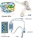 AICase Dimmable LED String Lights with Remote Control, 33 Ft 100 LEDs Waterproof String Lights Party Wedding Christmas Lights for Indoor/Outdoor Home Garden Decorations (1, Multi)