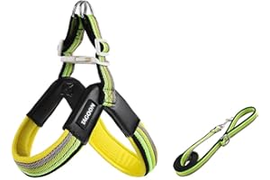 Scottish Terrier Y-Shaped Harness and Leash Set, 1.4m Lightweight Anti-Pull Harness, Soft Padding Green XS