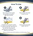 Dr. Scholl's LOWER BACK Pain Relief Orthotics // Clinically Proven Immediate and All-Day Relief of Lower Back Pain (for Women's 6-10, also available for Men's 8-14)