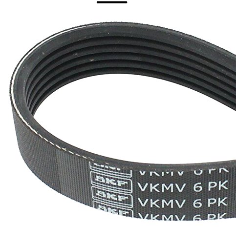 SKF VKMV 6PK855 Courroie Multi-V