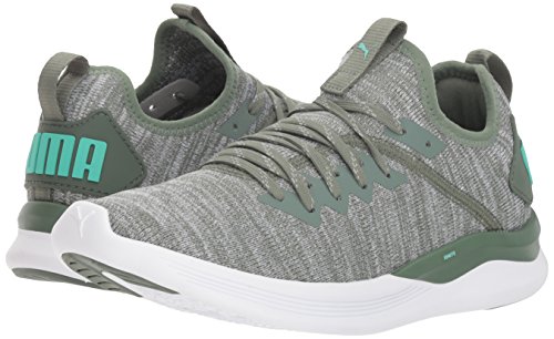 puma ignite flash evoknit sep wn