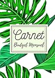 Carnet budget mensuel: Livre de compte | 7x10