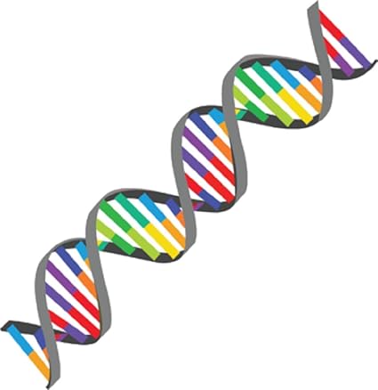 Get Amazon Com Dna Strand Sticker 1 8 X 6 Unique Anatomy Gift For Android Free Get Wallpaper Amazon Com Dna Strand Sticker 1 8 X 6 Unique Anatomy Gift For iPhone Free