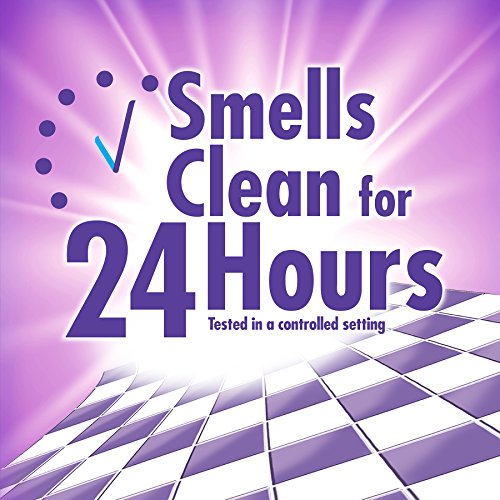 Fabuloso All Purpose Cleaner Lavender Bathroom Cleaner Toilet