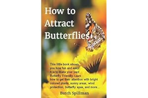 How to Attract Butterflies: It’s fun and easy to make your yard Butterfly Friendly. Learn how to get their attention with bright colored plants, sunny areas, wind protection, butterfly spas, and more…
