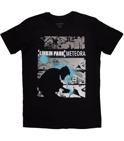 Linkin Park Meteora Tee, Black, Small | Amazon.com