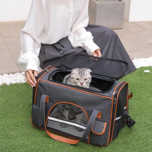 Transport Bag for Dog Cat, 45 x 28 x 25 cm, Airplane Transport Bag, Small Size with Removable Mat, Foldable Soft and Breathable Backpack for Travel Pets