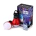 E-TRENDS Compact LED Lantern Tent Camp Light Bulb for Camping Hiking Fishing Emergency Lights, Battery Powered Portable Lamp, 2 Count, Red, Batteries Not Included