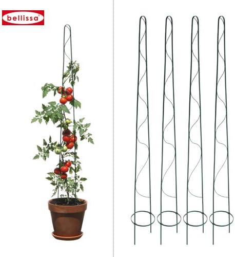 bellissa Tomaten-Tom 10007 - Set de 4 tutores para tomateras (160 ...