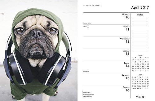 Doug-the-Pug-2017-Engagement-Calendar Doug-the-Pug-2017-Engagement-Calendar