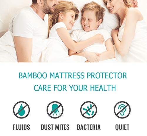 Queen Size Premium Bamboo Mattress Protector Cooling Mattress Protector Hypoallergenic Waterproof Mattress Protector Pad Mattress Cover Cotton Terry Surface Noiseless --Fitted 8"-21" Deep Pocket