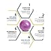 ProBody Pilates Small Exercise Ball - 9 Inch Workout Ball for Stability, Barre, Yoga, Core & Physical Therapy, Home Gym & Office Use (Purple)