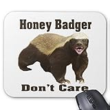 Maliyna Honey Badger Don't Care is a cute meme