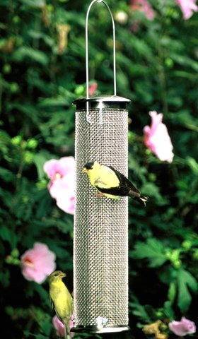 Aspects Nyjer Seed Mesh Wire Finch Bird Feeder, Brushed Nick