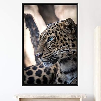 signwin Framed Canvas Wall Art Cheetah Animals Cheetah...