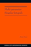 Multi-parameter Singular Integrals, Volume I