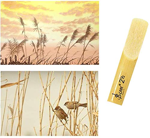 Clarinet Reeds,Alto bE Soprano Saxophone Reeds 2-1/2,Strength 2.5, Each Packaging 10Pcs with Plastic Box - Thumbnail 4