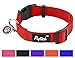 Nylon Puppy Adjustbale Collars Designer for Medium Small Dogs with ID Tag 12
