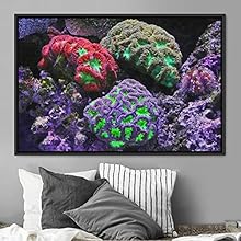 signwin Framed Canvas Wall Art Deep Under Group Jellyfish Marine Life Multicolor Photography Realism Tropical Ultra Whimsical - 24x36 inches