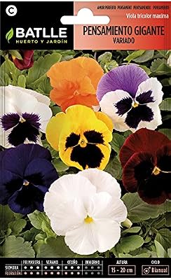 Semillas de Flores - Pensamiento Gigante variado - Batlle: Amazon ...