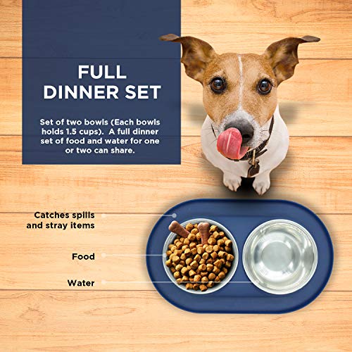 Bonza Cat Food Bowls, Premium Non Spill Dog Bowls with Mat, Stainless