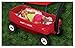 Radio Flyer Voyager Canopy Wagon