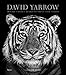 David Yarrow Photography: Americas Africa Antarctica Arctic Asia Europe by