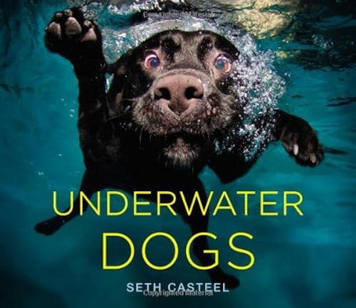 Download Underwater Dogs PDF