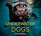 Underwater Dogs