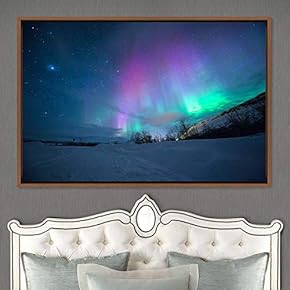 signwin Framed Canvas Wall Art Dayspring Astronomy &...