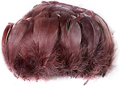 PANAX 100 pieces DIY Craft Goose Feathers Slight bending Feathers 8-12cm/ 3-5 Inches Lengh, Ideal for Carnival, Halloween, crafts, Handwerk, DIY, clothing, costumes Brown