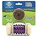 PetSafe Busy Buddy Nobbly Nubbly Treat Holding Dog Toy – Strong Chewers – Challenging - Treat Rings Included - Small, Multi Color