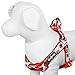 Blueberry Pet Soft & Comfy Step-in Glam Life of Ladybug with Flower Padded Dog Harness, Chest Girth 15.5