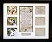 Pet Memorial Collage Frame for Dog or Cat with Sympathy Pawprints Left by You Poem - Made in the USA