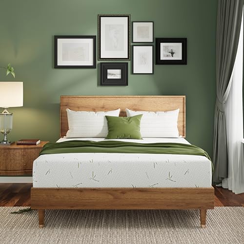 EGOHOME 10 Inch Memory Foam Mattress