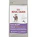 Royal Canin Appetite Control Spayed/Neutered Dry Adult Cat Food, 2.5 lb bag